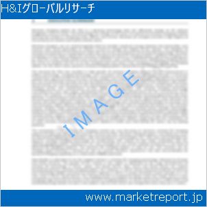 市場と産業調査レポートのイメージ